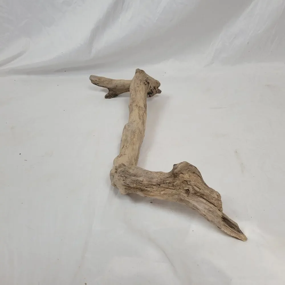 Ohio River Driftwood 26